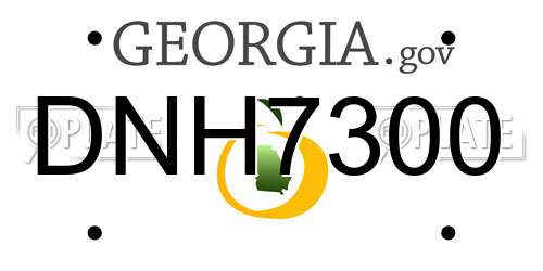 DNH7300 Georgia License Plate