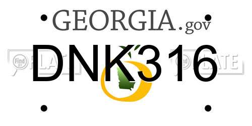 DNK316 Georgia License Plate