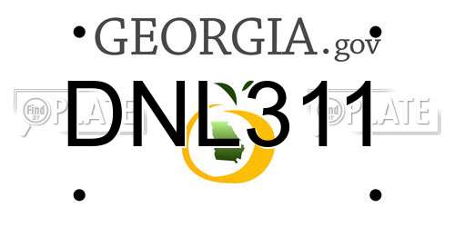 DNL311 Georgia License Plate