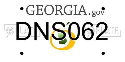 DNS062 Georgia License Plate
