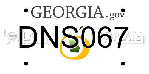 DNS067 Georgia License Plate