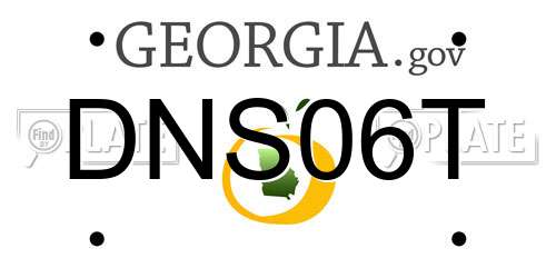 DNS06T Georgia License Plate