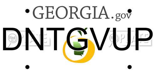 DNTGVUP Georgia License Plate