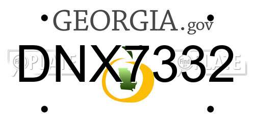 DNX7332 Georgia License Plate