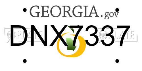 DNX7337 Georgia License Plate