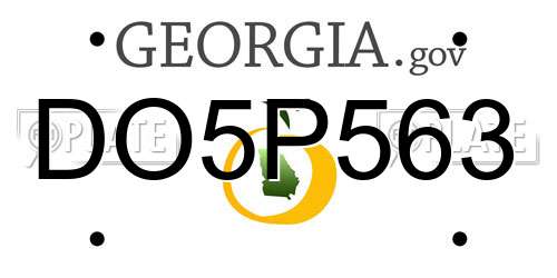 DO5P563 Georgia License Plate