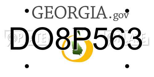 DO8P563 Georgia License Plate