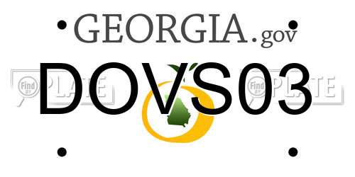 DOVS03 Georgia License Plate