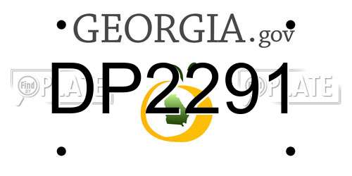 DP2291 Georgia License Plate