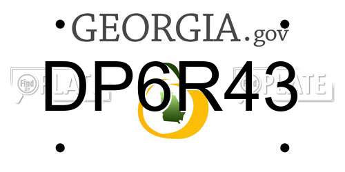 DP6R43 Georgia License Plate