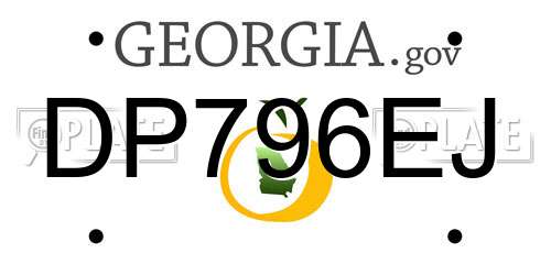 DP796EJ Georgia License Plate