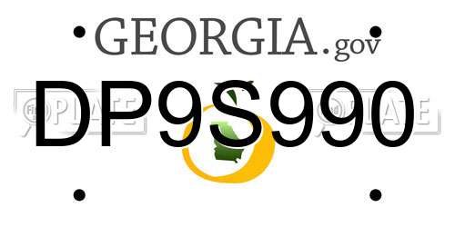 DP9S990 Georgia License Plate