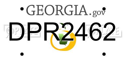 DPR2462 Georgia License Plate