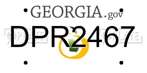 DPR2467 Georgia License Plate