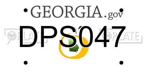 DPS047 Georgia License Plate