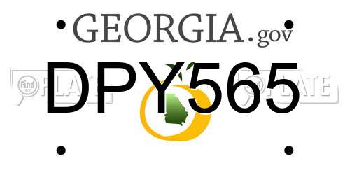 DPY565 Georgia License Plate