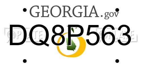 DQ8P563 Georgia License Plate