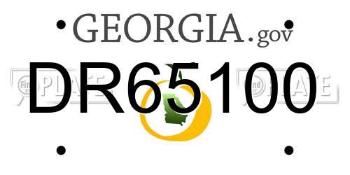 DR65100 Georgia License Plate