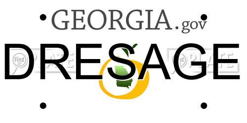 DRESAGE Georgia License Plate