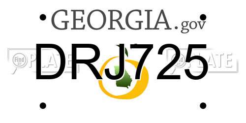DRJ725 Georgia License Plate