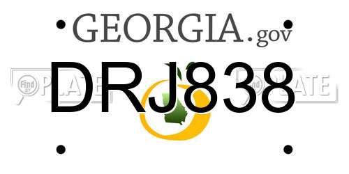 DRJ838 Georgia License Plate