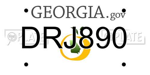 DRJ890 Georgia License Plate