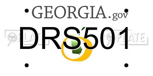 DRS501 Georgia License Plate