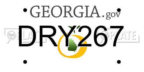 DRY267 Georgia License Plate