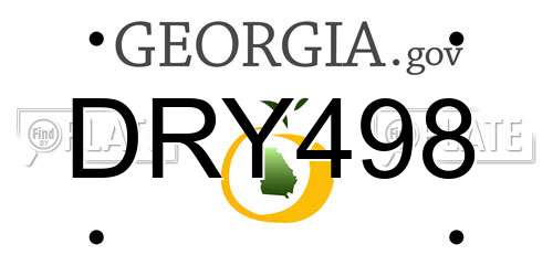 DRY498 Georgia License Plate