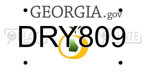 DRY809 Georgia License Plate