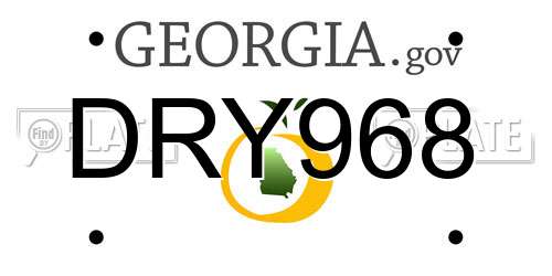 DRY968 Georgia License Plate