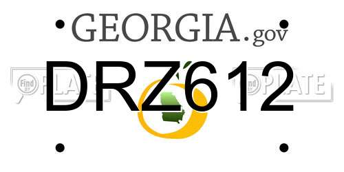 DRZ612 Georgia License Plate