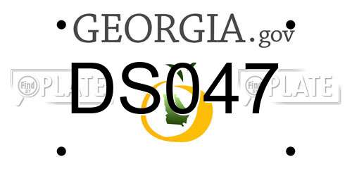 DS047 Georgia License Plate