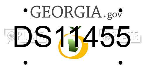 DS11455 Georgia License Plate