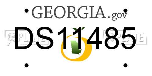 DS11485 Georgia License Plate