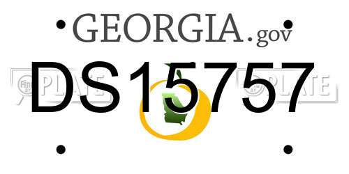DS15757 Georgia License Plate