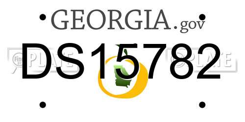 DS15782 Georgia License Plate