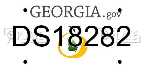 DS18282 Georgia License Plate