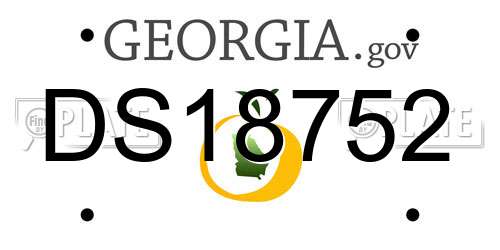 DS18752 Georgia License Plate