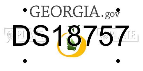DS18757 Georgia License Plate