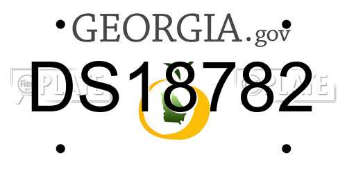 DS18782 Georgia License Plate