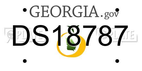 DS18787 Georgia License Plate
