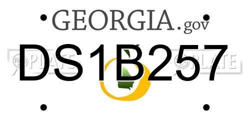 DS1B257 Georgia License Plate