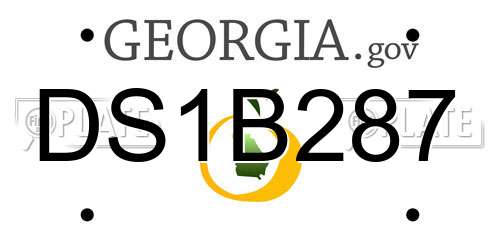 DS1B287 Georgia License Plate