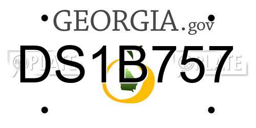 DS1B757 Georgia License Plate