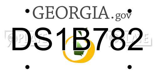DS1B782 Georgia License Plate