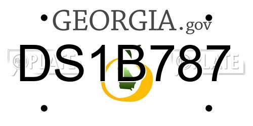 DS1B787 Georgia License Plate