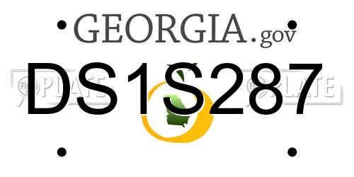 DS1S287 Georgia License Plate