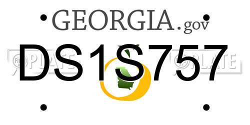 DS1S757 Georgia License Plate