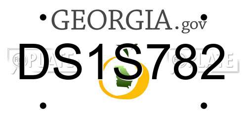 DS1S782 Georgia License Plate